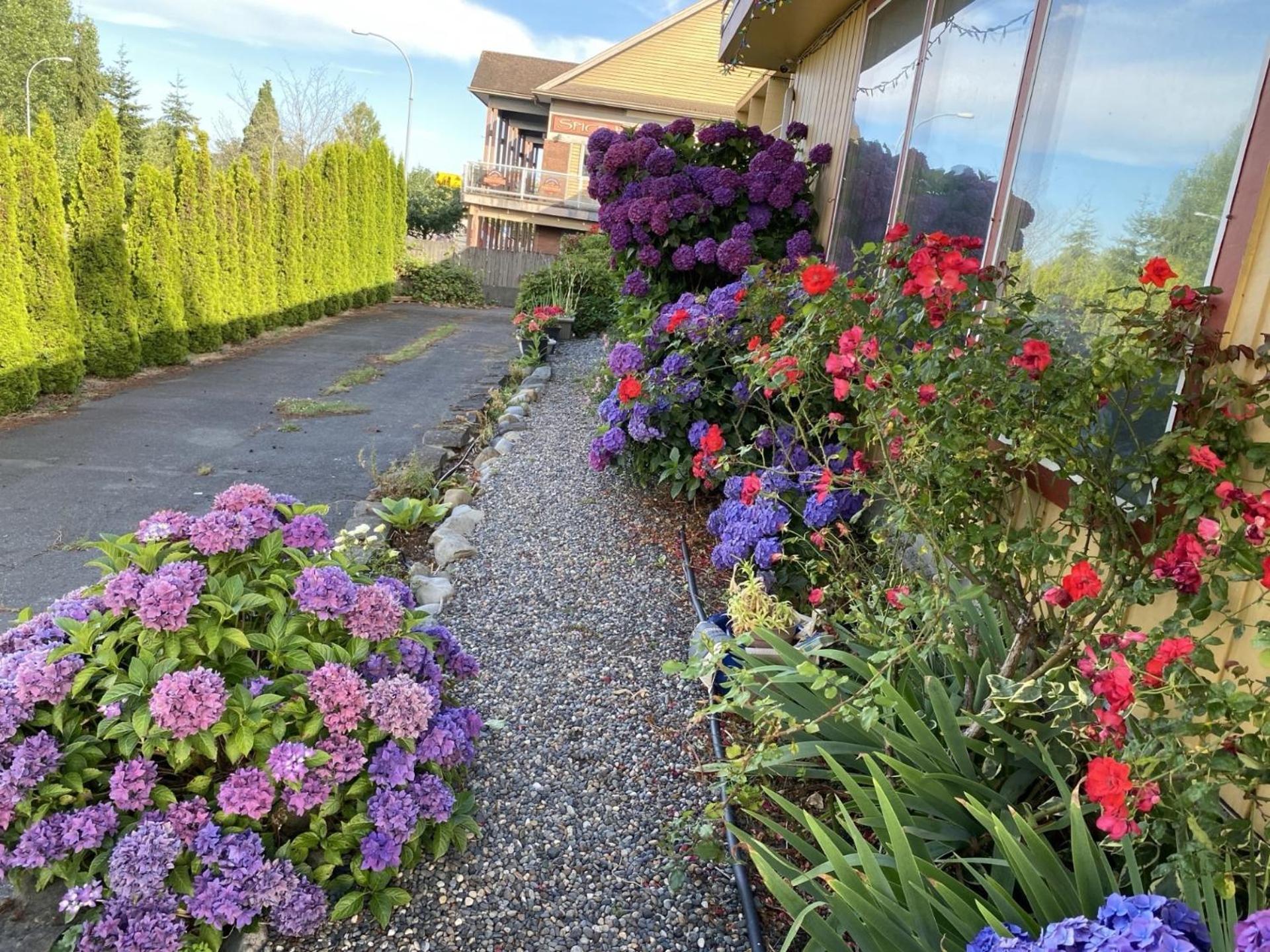 Holiday House Motel Ladysmith Exterior foto